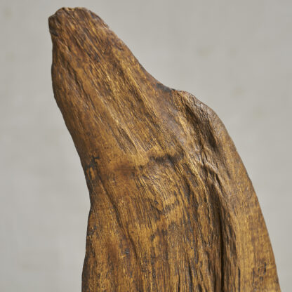 Fragment d’arbre monté sur socle Sculpture primitive